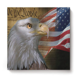 Canvas Wall Art Square Artworks for Bedroom Living Room Home Decor,3D Elag Animal The Flag of American Artwork for Wall,Stretched by Wooden Frame,Ready to Hang,24 x 24 Inch