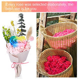 Preserved Real Rose Eternal Flower with LED Night Lights Gift for Women Girls on Birthday,