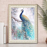 Diamond Painting Kits for Adults – 5D DIY Round Diamond Number Kits with Full Drill – Crystal Rhinestone Diamond Embroidery Paintings Great for Home, Office, Wall Decor 15.7×11.8 inch (Peacock)