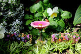 Pretmanns Fairy Garden Fairies – Miniature Accessories & Furniture – 7 Pieces – Fairy Garden Supplies