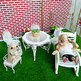 BARMI Doll House Furniture|Mini Table Chairs High Simulation Dollhouse Decoration Iron Table Chairs Garden Ornaments for Micro Landscape,DIY Dollhouse Toy Gift Set White