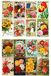 Decoupage Paper Pack (10sheets A4 / 8"x12") Flowers Roses Garden Wildflowers FLONZ Vintage Paper