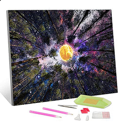 DIY 5D Diamond Painting Kit for Adult Kids Forest Full Moon Drill Crystal Rhinestone Embroidery Cross Stitch Arts Craft Boys Girls Gift for Home Wall Decor (40 x 30CM)