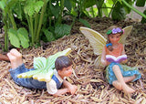 The Miniature Fun To Read Brother & Sister Garden Fairy Set by Twig & Flower