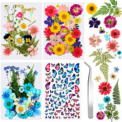 180 Pieces Dried Pressed Flowers and Butterfly Transparent Stickers Set with Tweezer, Natural Mixed Dry Flowers Leaves for DIY Candle Nail Pendants Scrapbook Decorations