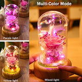 SWEETIME Enchanted Rose Lamp with Bluetooth Speaker, Real Flower LED Night Light, Preserved Pink