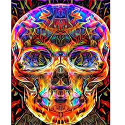 MXJSUA DIY 5D Diamond Painting by Number Kits Full Drill Rhinestone Pictures Arts Craft Home Wall Decor Colored Skull 12x16inch