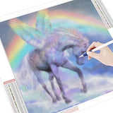 AIRDOM 5D Diamond Painting Art Kits for Adults Full Drill,Rainbow Unicorn Crystal Rhinestone Canvas Diamond Art Craft Gift for Mother