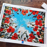 5D Diamond Painting Kits for Adults Full Drill Round Drill with Rhinestone - Poppy Flower Field Art