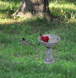 G & F MiniGardenn 10027 Fairy Garden Miniature, Cardinal Birdbath Pick
