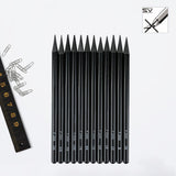 EVNEED Woodless Pencil Set,12 pcs Non-wood Graphite and Charcoal Sketching for Drawing,Writing,Shading,Color Black-Set of 12