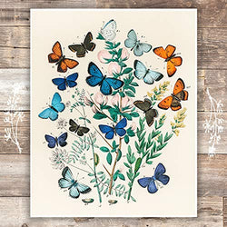 Vintage Butterfly Wall Art Print - Unframed - 8x10 | Botanical Wall Decor