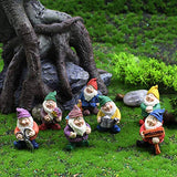 LINHU Mini Garden Gnome Statue Set in Funny Poses, Creative Tiny Gnomes Elves Mini Fairy Dollhouse Craft, Miniature Figurine, Home Decor(B)