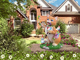 Garden Gnomes Outdoor Funny Knomes Fairy - Funny Garden Gnomes Cat Gnome - Outdoor Decor Yard Gnomes - Naughty Garden Gnome Statue - Gnomes Garden Decorations Funny Gnomes Cat Statues and Figurines
