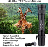 Canon EOS Rebel T7 DSLR Camera with 18-55mm is II Lens Bundle + Canon EF 75-300mm III Lens & 420-800mm Preset Telephoto Zoom Lens + 32GB Memory + Spider Tripod + Commander Optics Professional Bundle