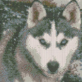 DIY 5D Diamond Painting by Number Kits, Full Drill Crystal Rhinestone Embroidery Pictures Arts Craft for Home Wall Decor Gift,Husky