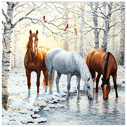 DIY 5D Diamond Painting Horse by Number Kits Winter Snow Paint with Diamond Art Animal Cross Stitch Full Drill Rhinestone Embroidery Pictures Arts Craft for Home Wall Decor Gift-12X12inch