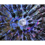 5D Diamond Painting Kits for Adults & Kids,DIY Stun Tree Diamond Dots Crystal Gem Arts Painting Perfect for Home Wall Decor (12x16 in)