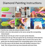 Diamond Painting Kits for Adults 5D DIY Full Round Drill Crystal Rhinestone Embroidery Arts Craft Wall Decor Bee Licking On Honey 11.8x11.8 in by Bemaystar