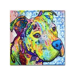 Thoughtful Pit Bull III Artwork by Dean Russo, 24 by 24-Inch Canvas Wall Art