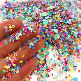 Wankko Multicolor Manicure Glitter Confetti 3.6oz/100g, Mixed Shapes Size 2-4mm for Party Decoration, DIY Crafts, Premium Nail Art Etc