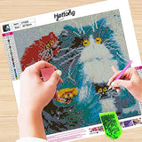 5D Diamond Painting Full Drill by Number Kits for Adults Kids, Colorful Fat Cat DIY Craft Diamonds Painting Kits Arts Embroidery Cross Stitch Decorations(12x12inch)