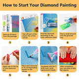 Mandala Diamond Art 5D Diamond Painting Rainbow Dot Diamond Painting Kits for Adults Kids Colorful Abstract DIY Full Drill Diamond Art Kits Gem Art Paint with Diamonds Wall Decor for Home 12"x16"