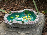 GlitZGlam Duck Pond -Mother and Ducklings! A Miniature Duck Pond for a Miniature Fairy Garden and Miniature Garden Accessories