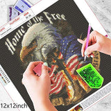 DIY 5D Diamond Painting Kits for Adults American Flag Full Drill Embroidery Paintings Rhinestone Pasted DIY Painting Cross Stitch Arts Crafts for Home Wall Decor，Eagle（12x12inch）