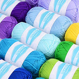 Wextile 50g Large Yarn Bonbons 1200m Total Knitting and Crochet Yarn Including 12 Multicolour Yarns and Learning Materials for Starter Kit
