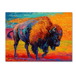 Spirit Of The Prairie by Marion Rose, 24x32-Inch Canvas Wall Art