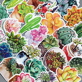 Honch Succulent Stickers Pack 70 Pcs Suitcase Stickers Vinyl Decals for Laptop Bumper Helmet Ipad Car Luggage Water Bottle