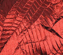 Taffeta Fabric Bark Leaves 60" Wide Sold By The Yard (BURGUNDY)