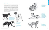 How to Draw Dogs and Puppies: A Complete Guide for Beginners