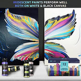 Iridescent Acrylic Paint 12 Colors Color Shift Acrylic Paint High Viscosity Shimmer Paint Chameleon Colors Non Toxic for Artists Beginners on Rocks Crafts Canvas Wood
