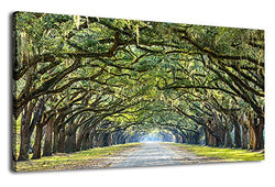Green Forest Wall Art Nature Canvas Picture Landscape Canvas Artwork for Home Wall Decor Large Canvas Prints of Oak Trees Lined Road at Historic Wormsloe Plantation Savannah Georgia 20" x 40"