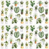 OIIKI 225 PCS Oxygen Green Plants Scrapbook Stickers, Green Potted Plants DIY Decoration Stickers for Scrapbook, Notebooks, Cards, Envelopes, Laptop, Calendars, Including Repeat (5 Boxes x 45 PCS)