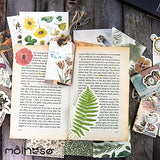 MOLNESO Botanical Scrapbook kit, Flowers Scrapbooking Supplies Paper Stickers for Junk Journaling Bullet Journal Nature Journaling Kit for Adults Teens Girls