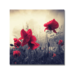 Red For Love by Philippe Sainte-Laudy, 18x18-Inch Canvas Wall Art