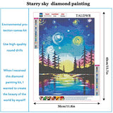 DIY 5D Diamond Painting Kits for Adults Kids,Landscape Full Drill Diamond Art Painting by Number Kits,Perfect for Relaxation and Home Wall Decor(Starry Sky Diamond Painting)11.8''x15.7''inch