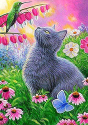 Kaliosy 5D Diamond Painting Cat by Number Kits, Paint with Diamonds Art Animal DIY Full Drill, Crystal Craft Cross Stitch Embroidery Decoration 30x40cm（12x16inch）