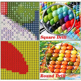 DIY 5D Diamond Painting by Number Kits,Large Size Full Drill Crystal Rhinestone Diamond Embroidery Dotz Cross Stitch Canvas Arts Craft for Home Wall Decor Abstract Colored Eyes Round Drill 24x48in