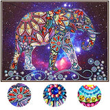 5D DIY Special Shaped Diamond Painting Kit, 18.5X 14.5 Inch Crystal Rhinestone Diamond Embroidery Paintings Pictures Arts Craft for Home Wall Decor