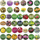 40 Bags Natural Dried Flowers Kit, Natural Dried Herbs with 2 Mesh Drawstring Bag for Soap,Candle,Resin Jewelry Making,Bath,Nail - Rose Petals,Rosebuds,Lilium,Jasmine,Don't Forget Me and More