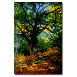 Bodmer Oak Fontainebleau Forest Artwork by Claude Monet, 22 by 32-Inch Canvas Wall Art