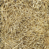 EZ-Straw Seeding Mulch with Tack - Biodegradable Organic Processed Straw – 2.5 CU FT Bale (covers up to 500 sq. ft.)