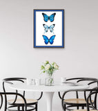 Butterfly Wall Decor- 3 Blue Butterflies Watercolor Art Print - 11x14 - Unframed