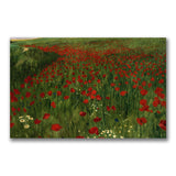 The Poppy Field 1896 by Pal Szinyei Merse, 30x47-Inch Canvas Wall Art