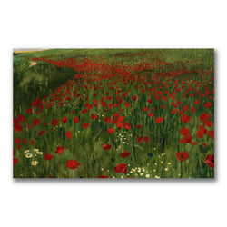 The Poppy Field 1896 by Pal Szinyei Merse, 30x47-Inch Canvas Wall Art