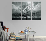 sechars - Large 3 Panel Tree Picture Wall Art Dark Forest Landscape Canvas Prints Tree of Life Painting Stretched and Framed for Living Room Home Office Decor